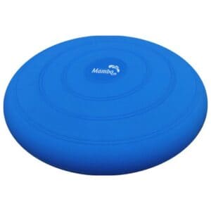 Sensorisch Wiebelkussen Blauw